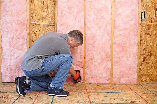 Best Insulation Installation Services in San Martin, CA